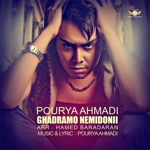 دانلود آهنگ قدرمو نمیدونی